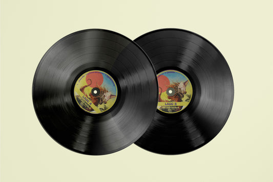 Packaging Vinyl Record Helado Salvaje 64x35cm