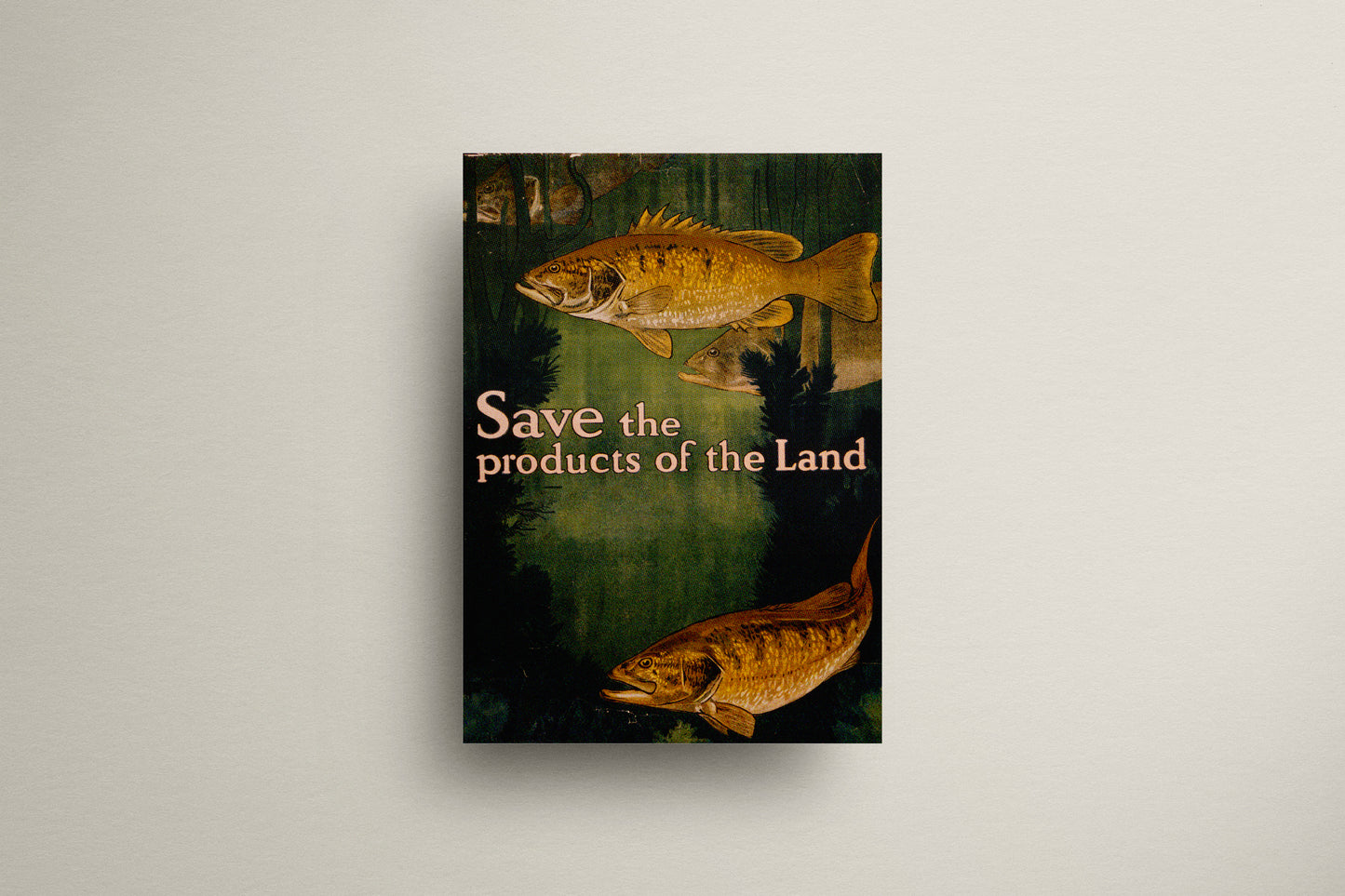 Print Animal Fish Retro 60x90cm