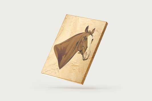 Print Animal Horse Looking Illustration 50x60cm