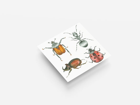 Print Animal Various Insects Illustration 24x24cm