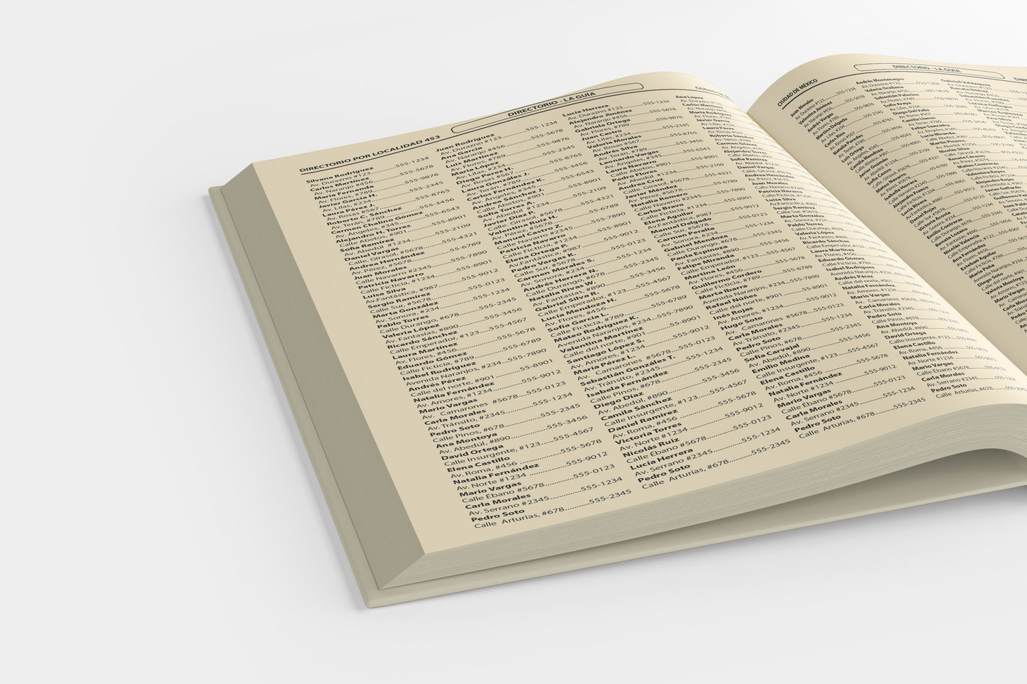 Print Book Directory Pages 20.5x27.2cm