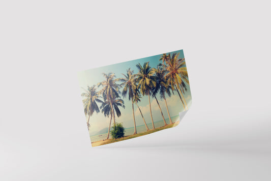 Print City Acapulco Beach Mexico Palms Photography 38x25cm