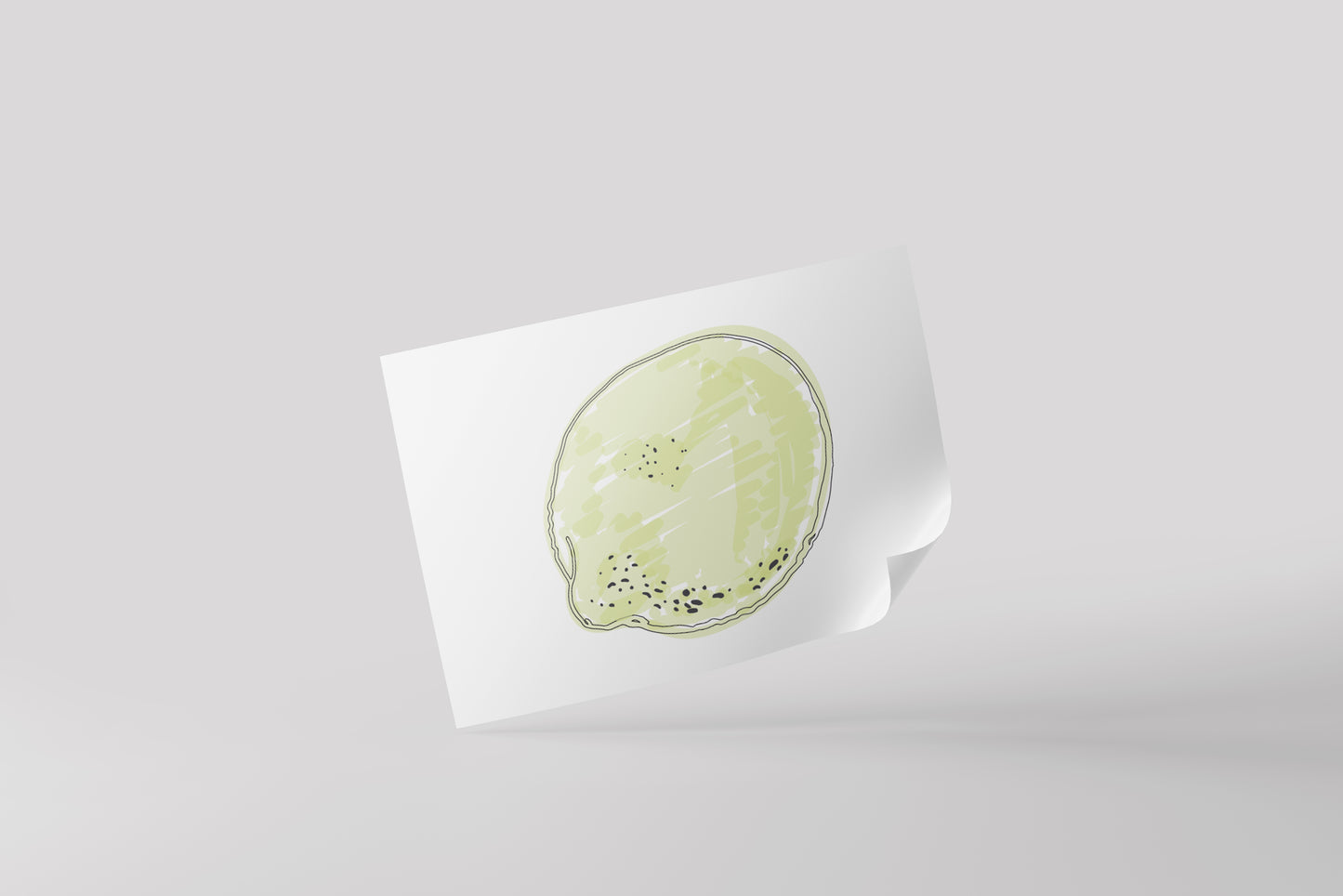 Print Food Fruits Lemon Closed Drawing Illustration 27.9x21.5cm