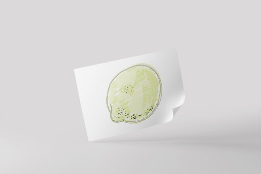 Print Food Fruits Lemon Closed Drawing Illustration 27.9x21.5cm