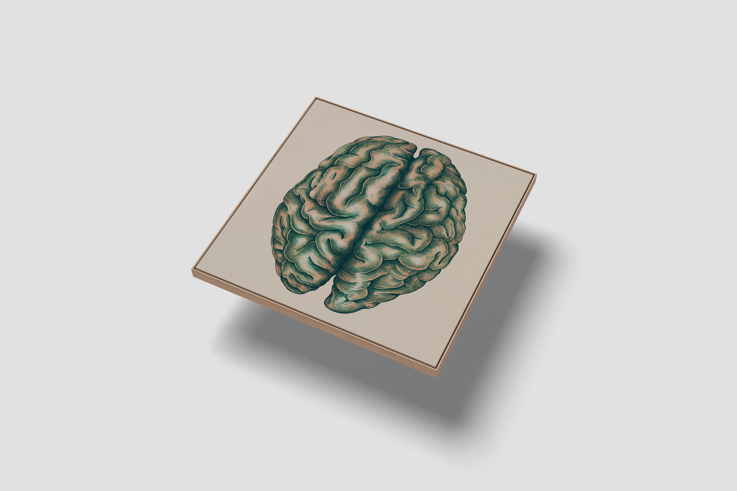 Print Human Body Brain Green Vintage Illustration 250x251cm