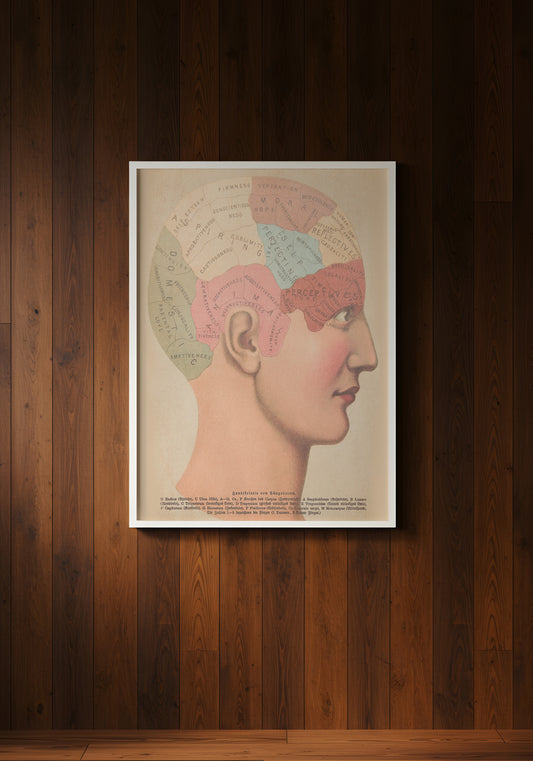 Print Human Body Phrenology Human Brain Vintage Illustration 21.5x27.9cm