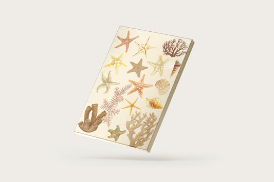 Print Nature Starfish Illustration 60x90cm