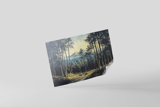 Print Nature Wooded Landscape Shell Painting Paint 50x40cm