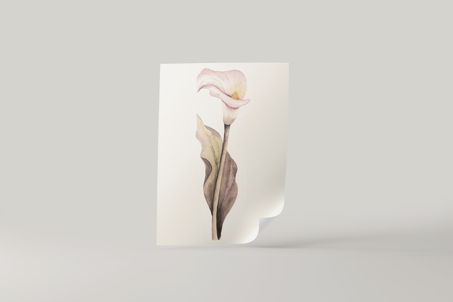 Print Nature Lily Flower Pink Vintage Paint 17.9x27cm