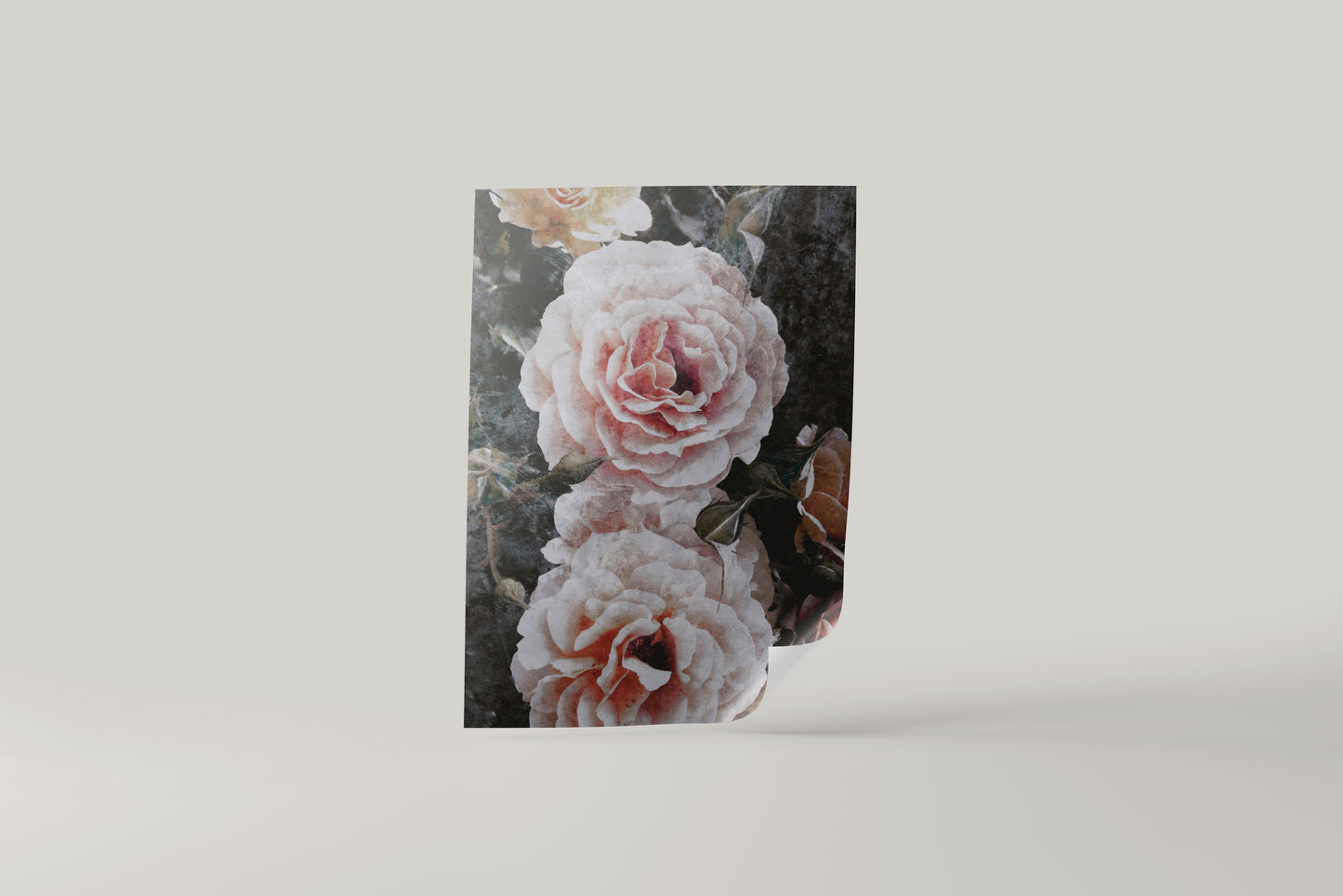 Print Nature Pink Roses Vintage Photography 62x85cm