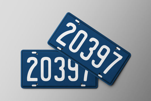 Prop-License Plate Mexico Police Blue 30x15cm