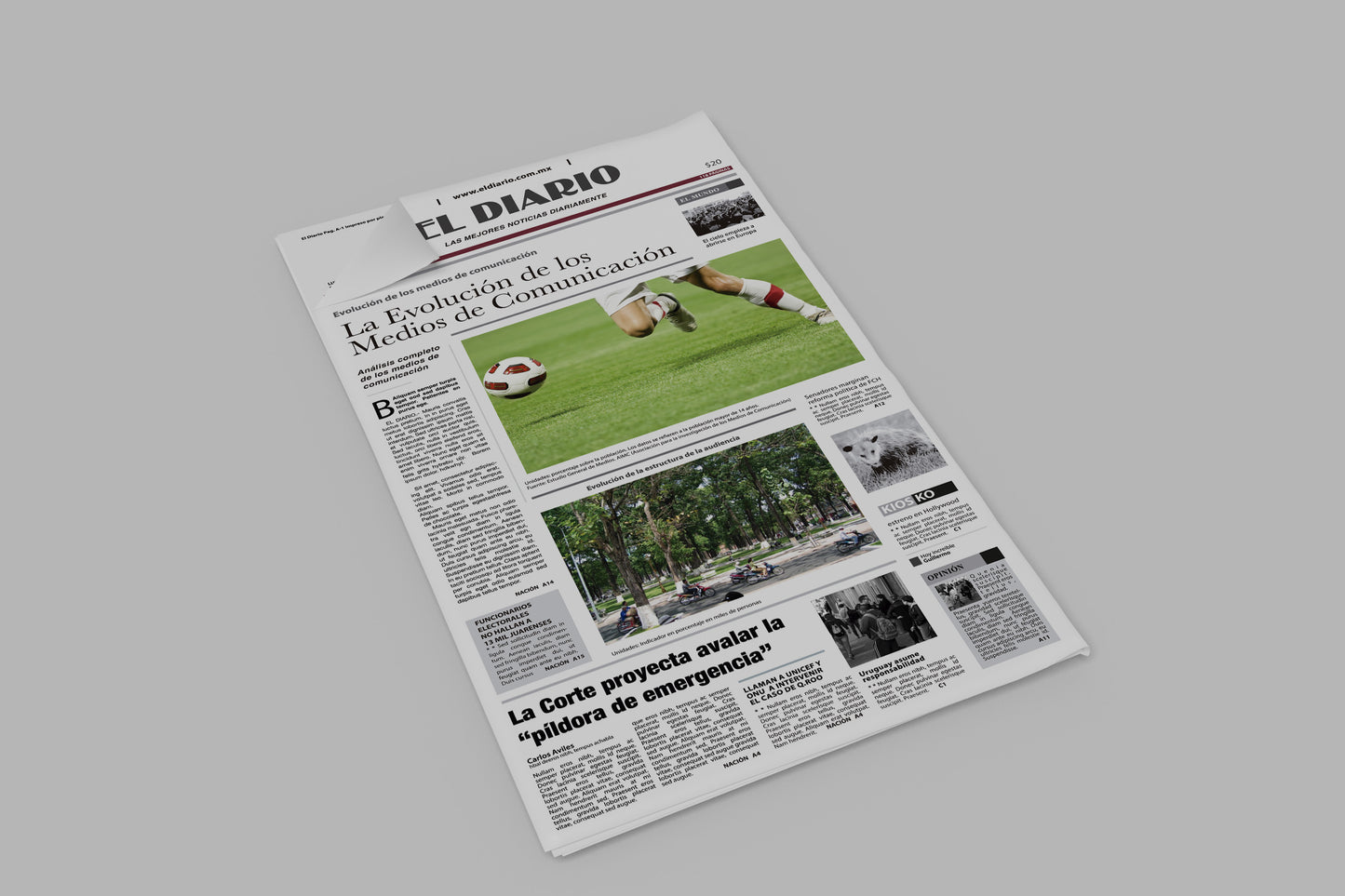 Prop Newspaper Daily News El Diario Red 23x43cm