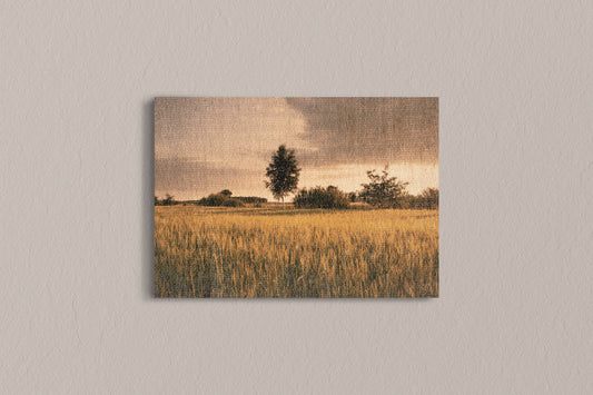 Print Nature Landscape Field Of Grass Yellow Vintage Paint 44x35cm
