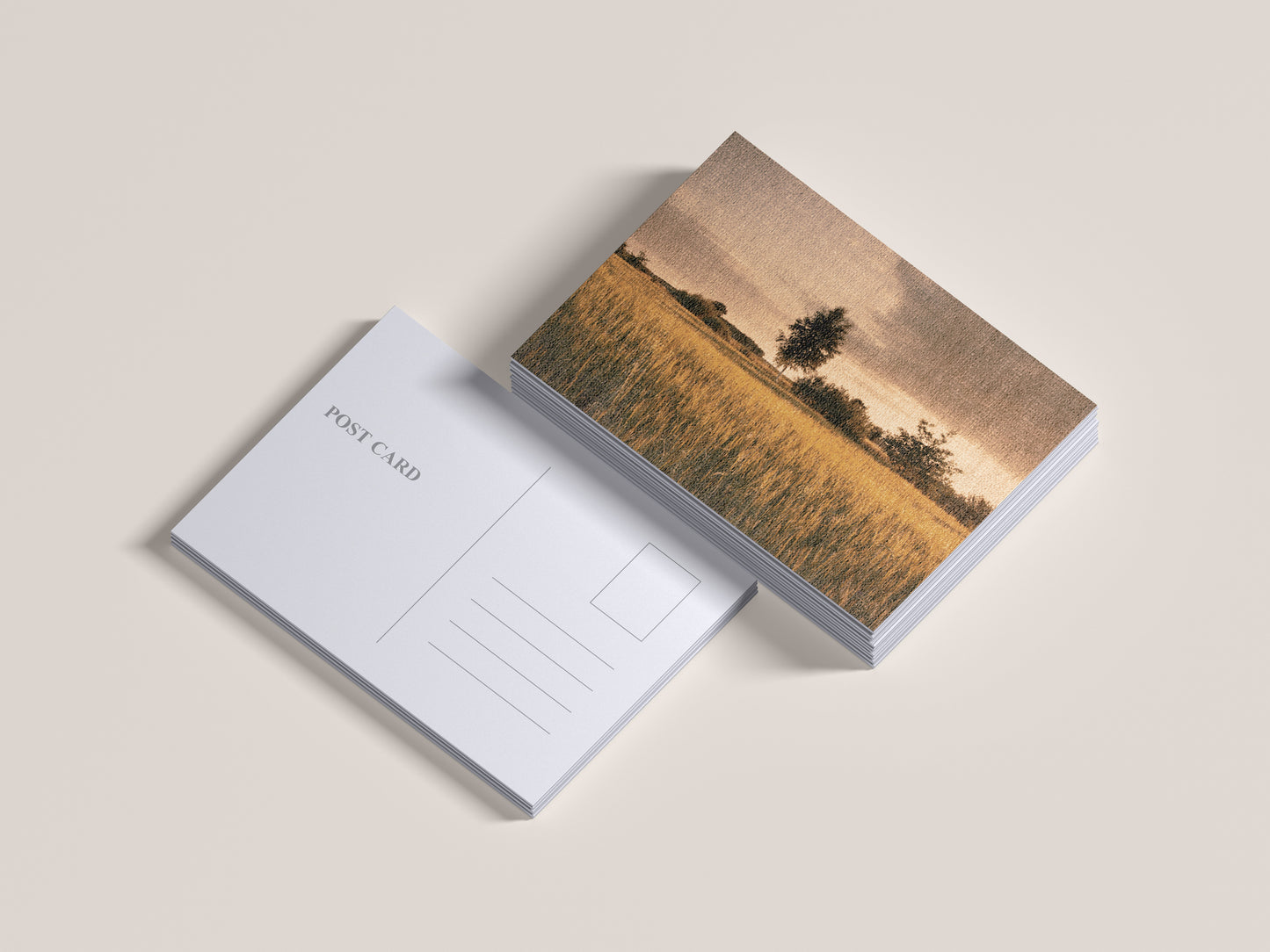 Print Nature Landscape Field Of Grass Yellow Vintage Paint 44x35cm