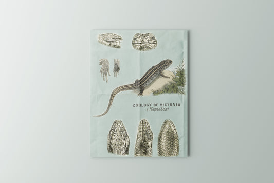 Print Animal Reptiles Green Vintage 24x32cm