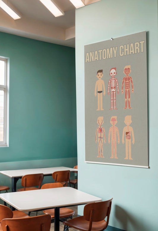 Print School Anatomy Chart 60x90cm