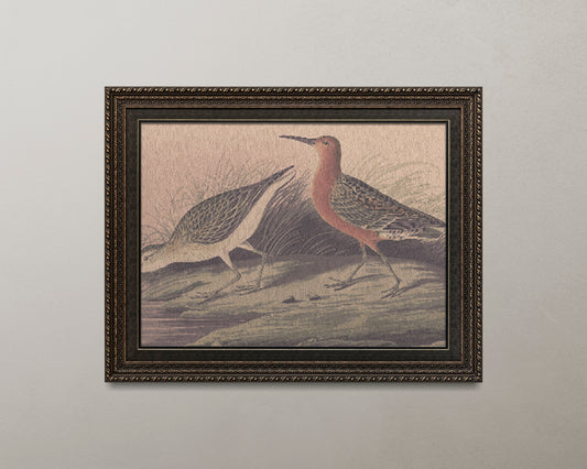 Print Animal Bird Orange Limosa Vintage Paint 17x12cm