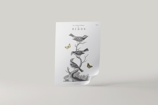 Print Animal Birds & Butterflies Paint 50x70cm