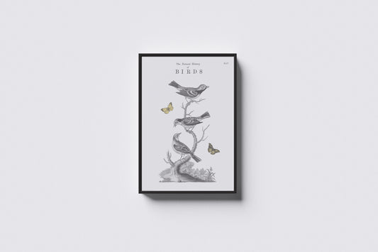 Print Animal Birds & Butterflies Paint 50x70cm