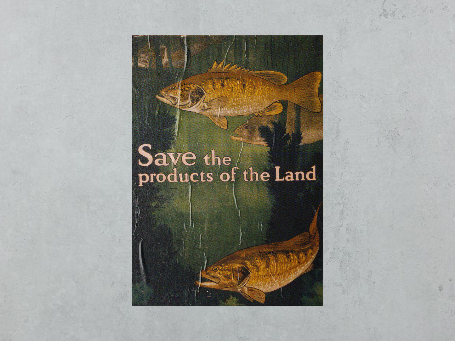 Print Animal Fish Retro 60x90cm