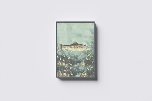 Print Animal Fish Trout Vintage Paint 13x18cm