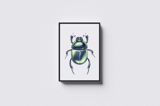 Print Animal Green Beetle Illustration 20x25cm