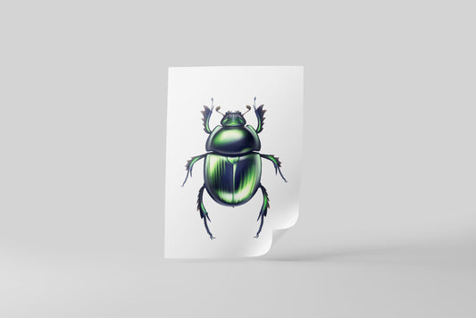 Print Animal Green Beetle Illustration 20x25cm