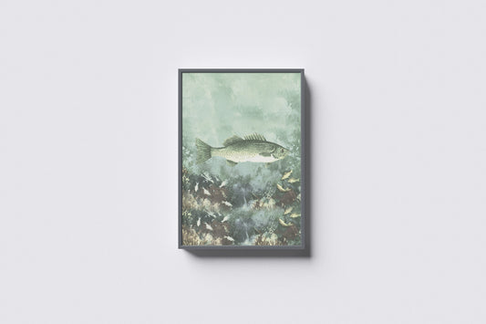 Print Animal Sea Bass Fish Vintage Paint 13x18cm