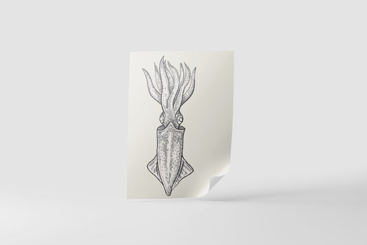 Print Animal Squid Minimalist 60x90cm