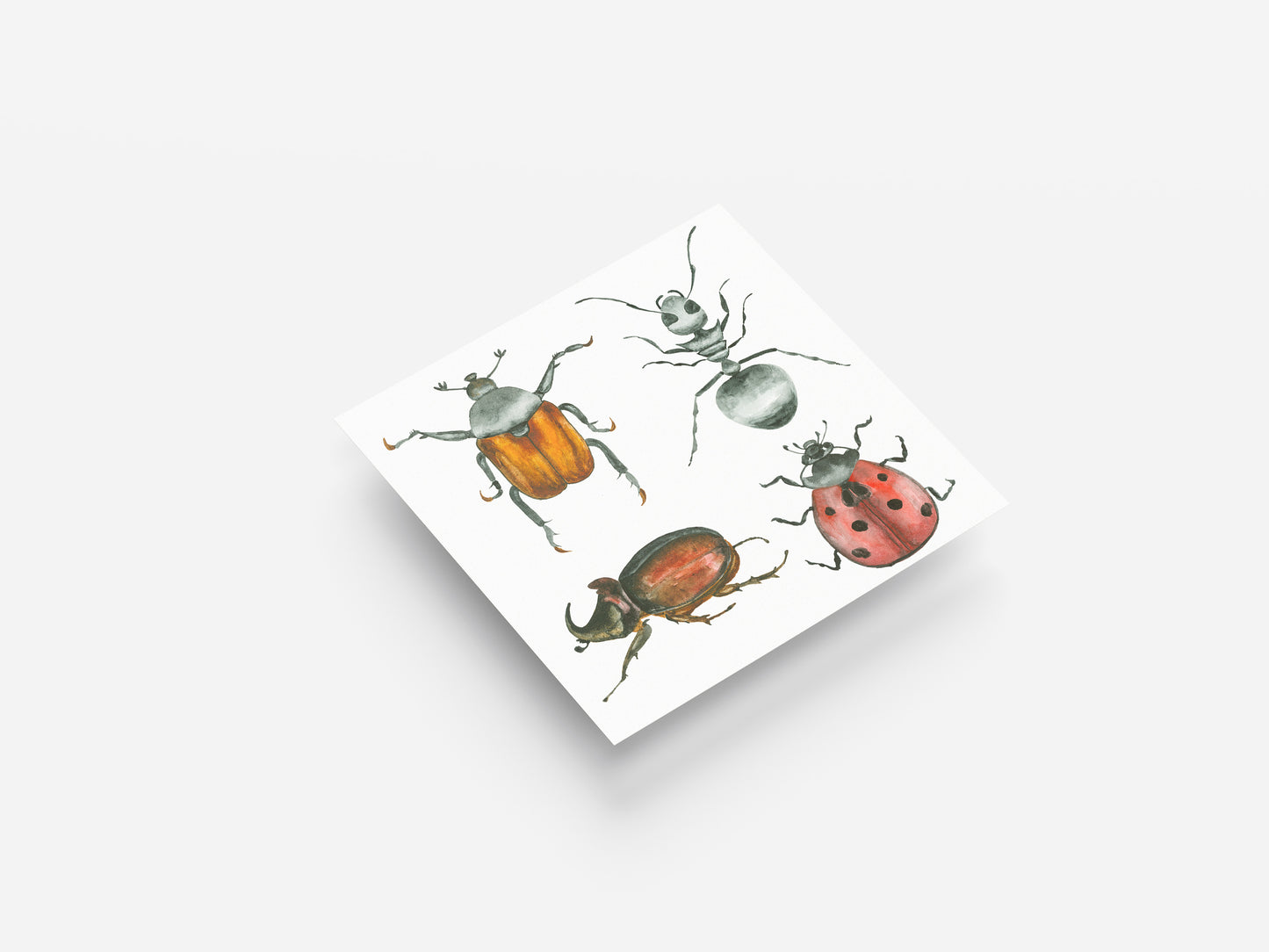 Print Animal Various Insects Illustration 24x24cm