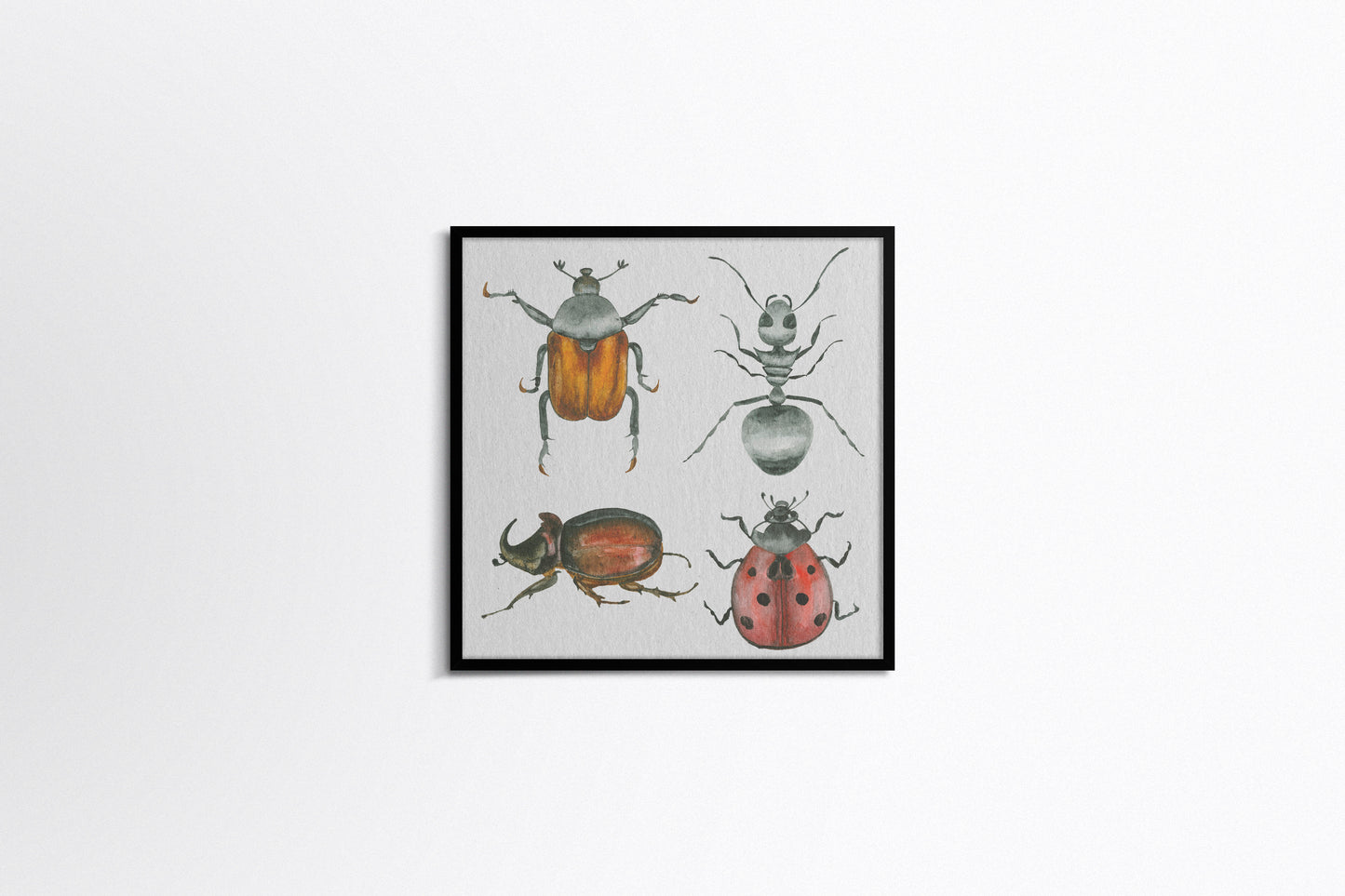 Print Animal Various Insects Illustration 24x24cm
