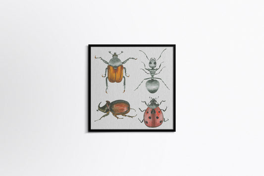 Print Animal Various Insects Illustration 24x24cm