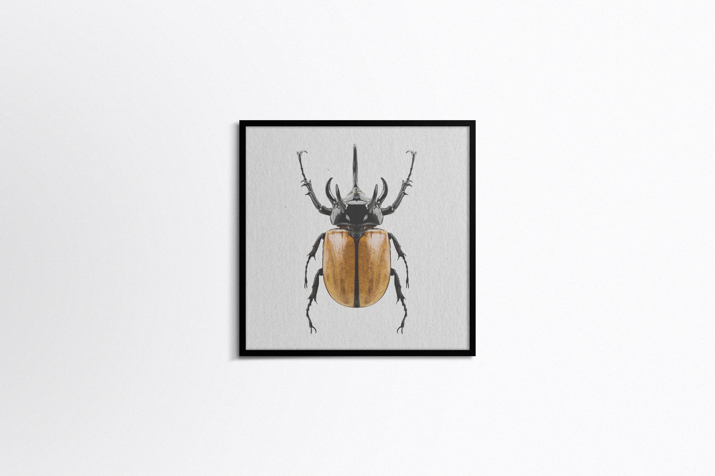 Print Animal Yellow Beetle Photography 30x30cm