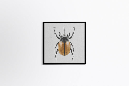 Print Animal Yellow Beetle Photography 30x30cm