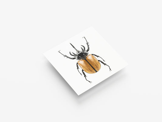 Print Animal Yellow Beetle Photography 30x30cm