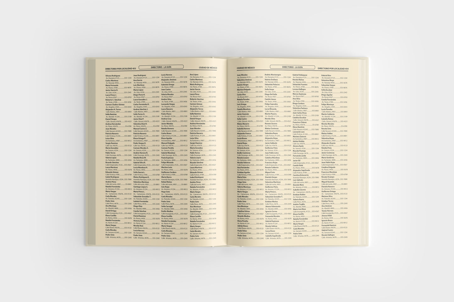 Print Book Directory Pages 20.5x27.2cm