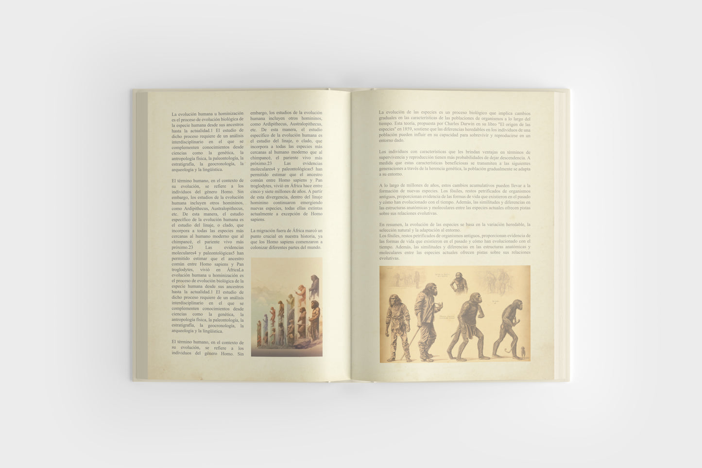 Print Book Encyclopedia Pages 38x26.5cm
