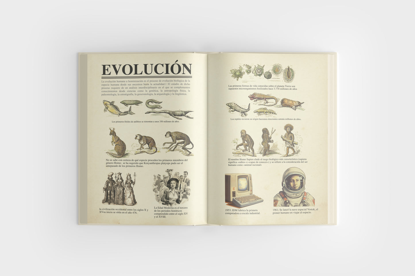 Print Book Encyclopedia Pages 38x26.5cm