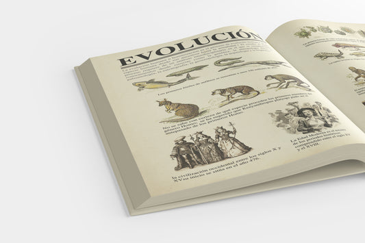Print Book Encyclopedia Pages 38x26.5cm