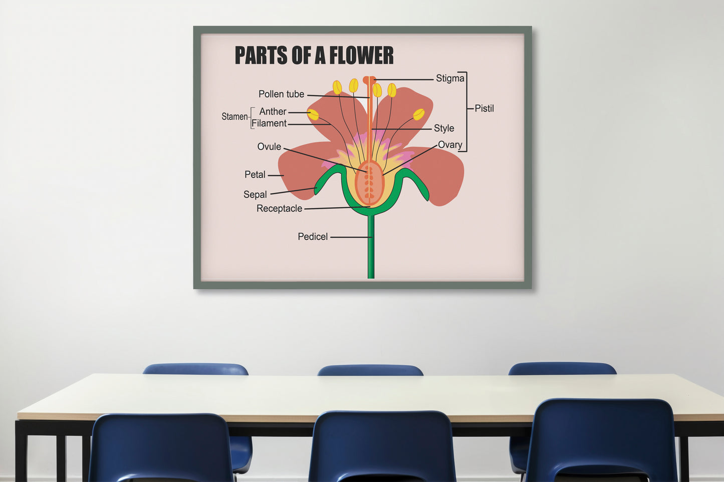 Print School Flower Parts 60x90cm