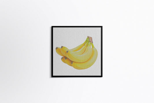 Print Food Fruit Banana Stalk Photography 70.5x79cm
