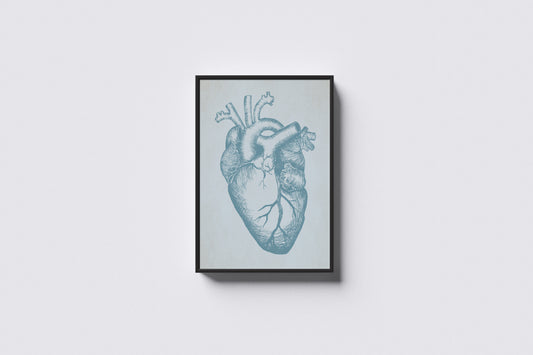 Print Human Body Blue Heart Illustration 45x60cm