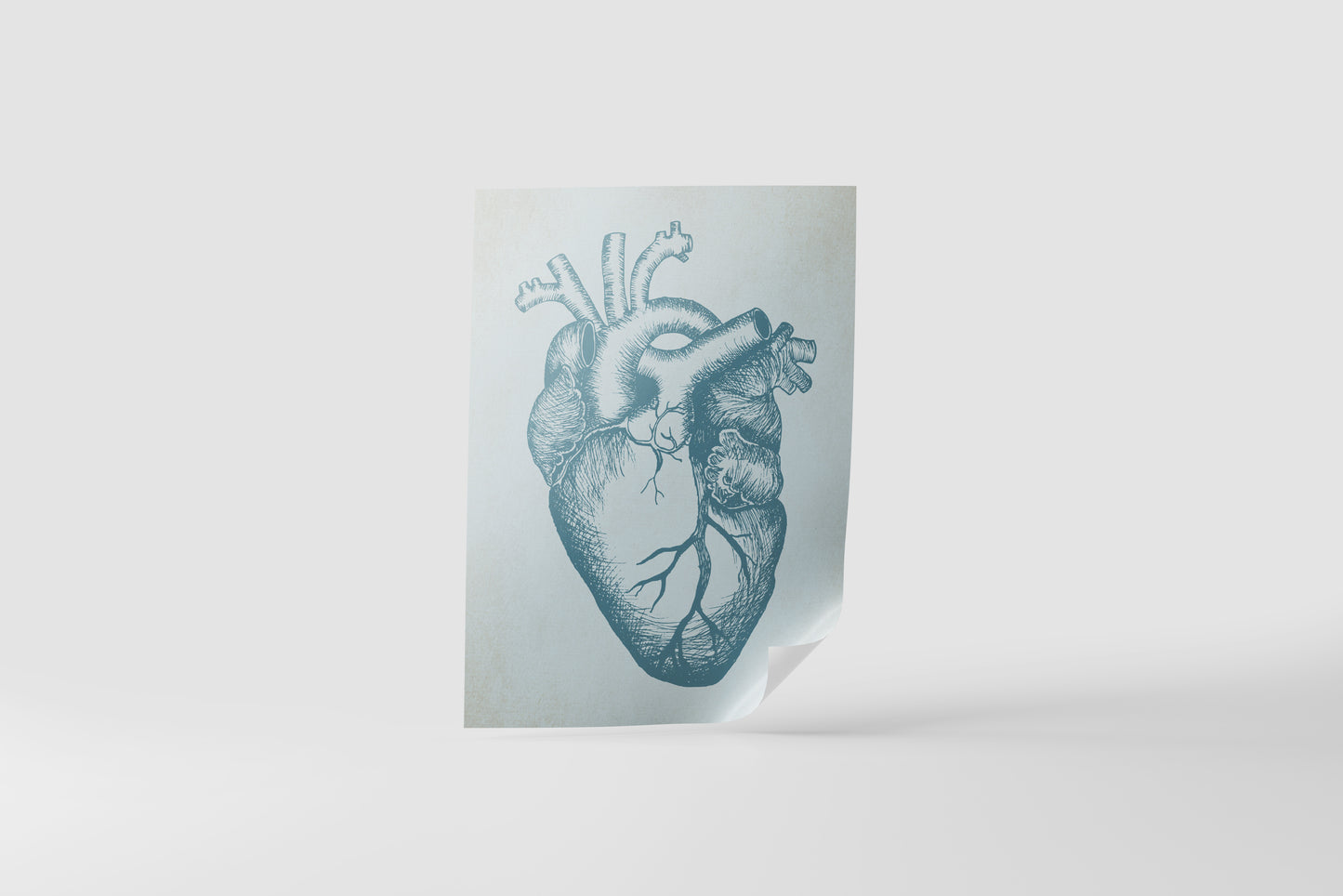 Print Human Body Blue Heart Illustration 45x60cm