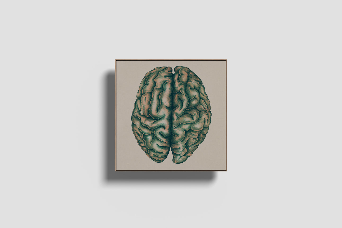 Print Human Body Brain Green Vintage Illustration 250x251cm