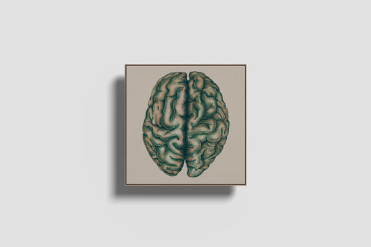 Print Human Body Brain Green Vintage Illustration 250x251cm