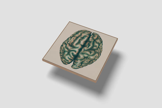 Print Human Body Brain Green Vintage Illustration 250x251cm