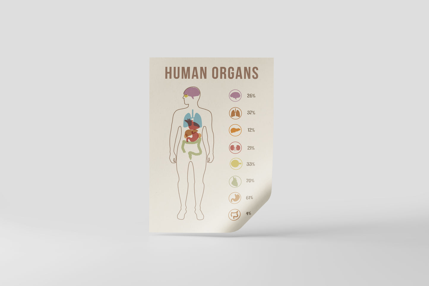 Print School Human Organs 60x90cm