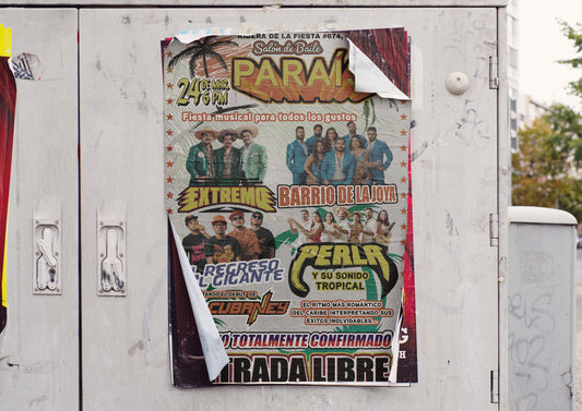 Print Urban Kitsch Advertisement Sonidero Paraíso 15x22.5cm