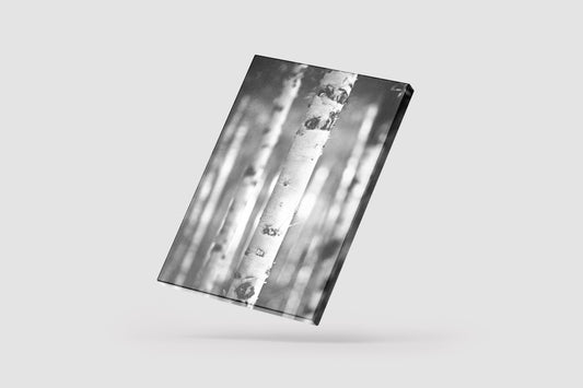 Print Nature Trunks Black & White Photography 53.8x67.3cm