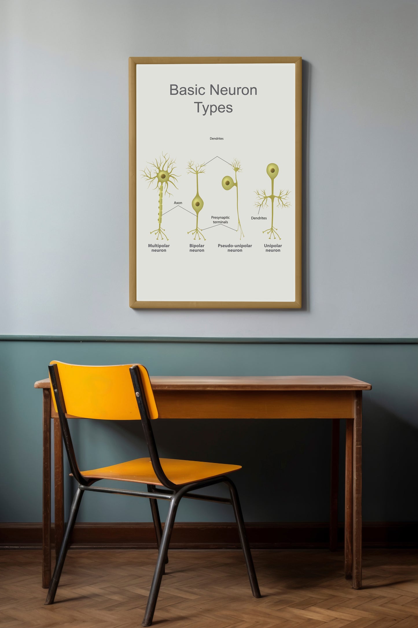 Print School Neuron Types 60x90cm
